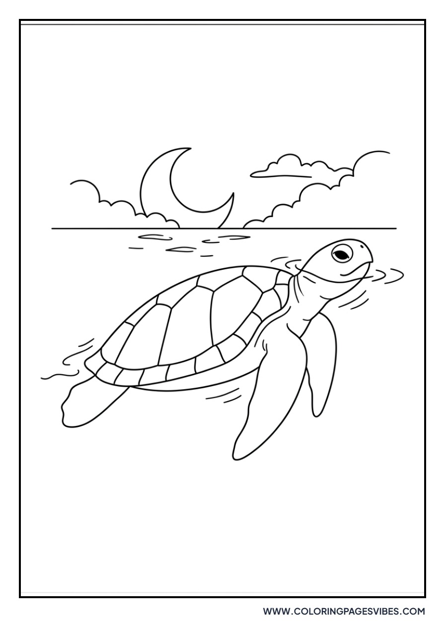 Sea Turtle at Sunset