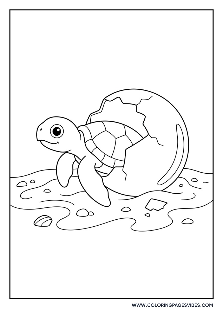 Sea Turtle Hatching from Egg