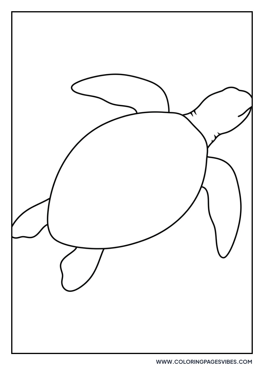 Sea Turtle Silhouette