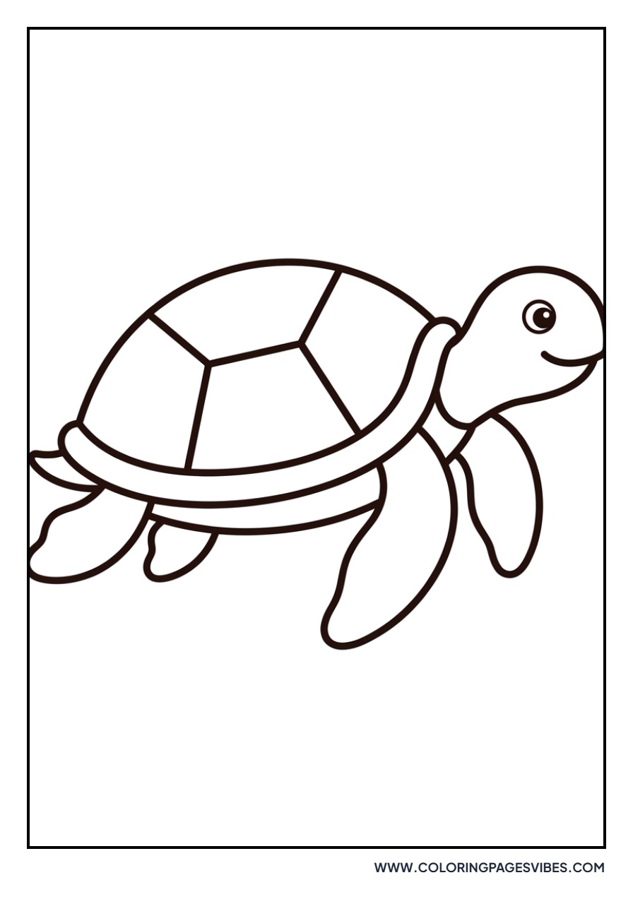 Simplified Toddler Turtle