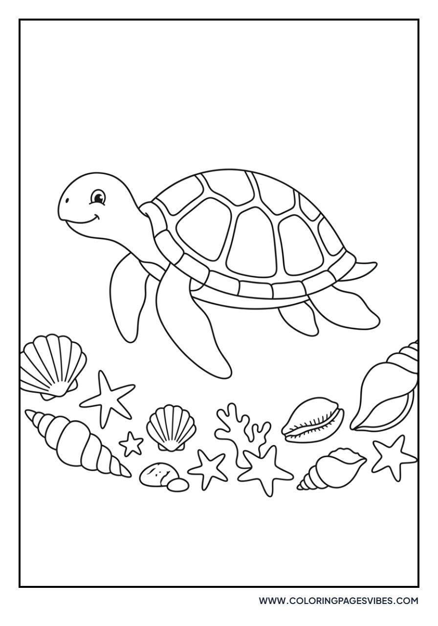 Turtle Among Shells