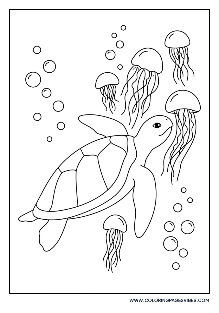 Turtle and Jellyfish