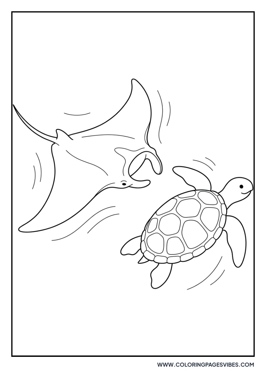 Turtle and Manta Ray