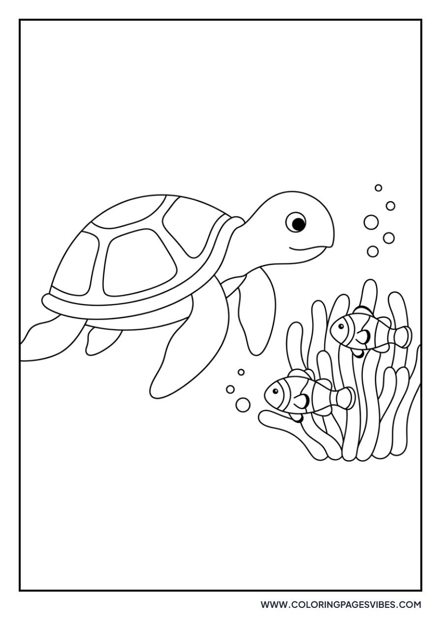 Turtle and Sea Anemone