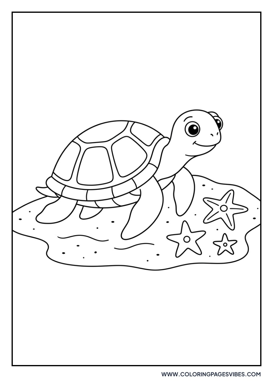 Turtle and Starfish
