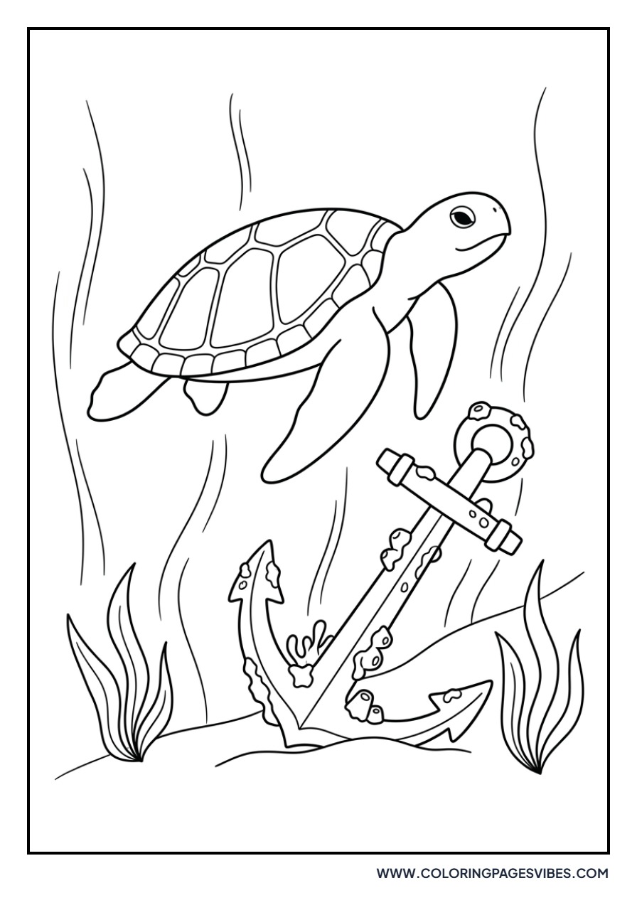 Turtle and Sunken Anchor
