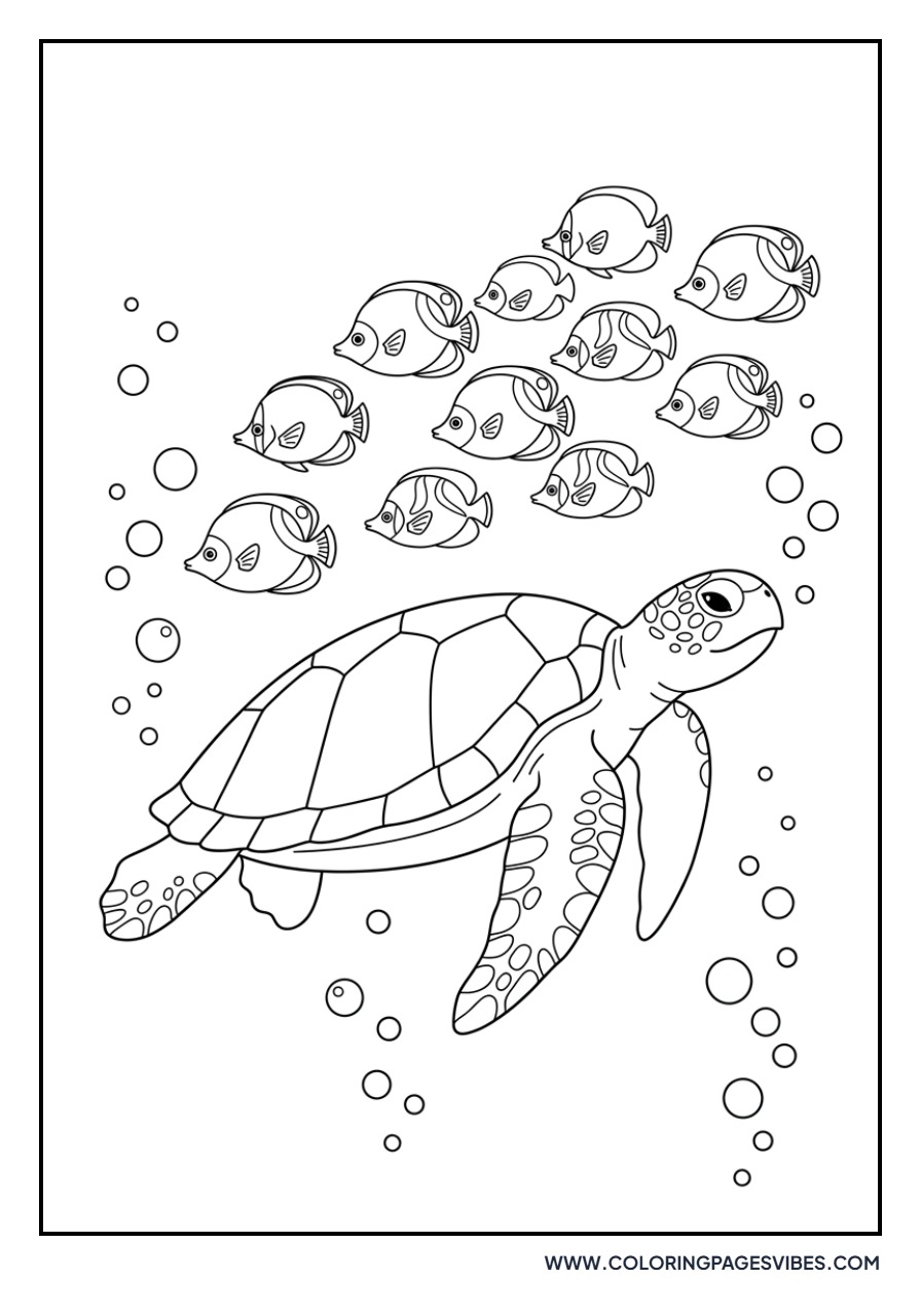 Turtle and Tropical Fish