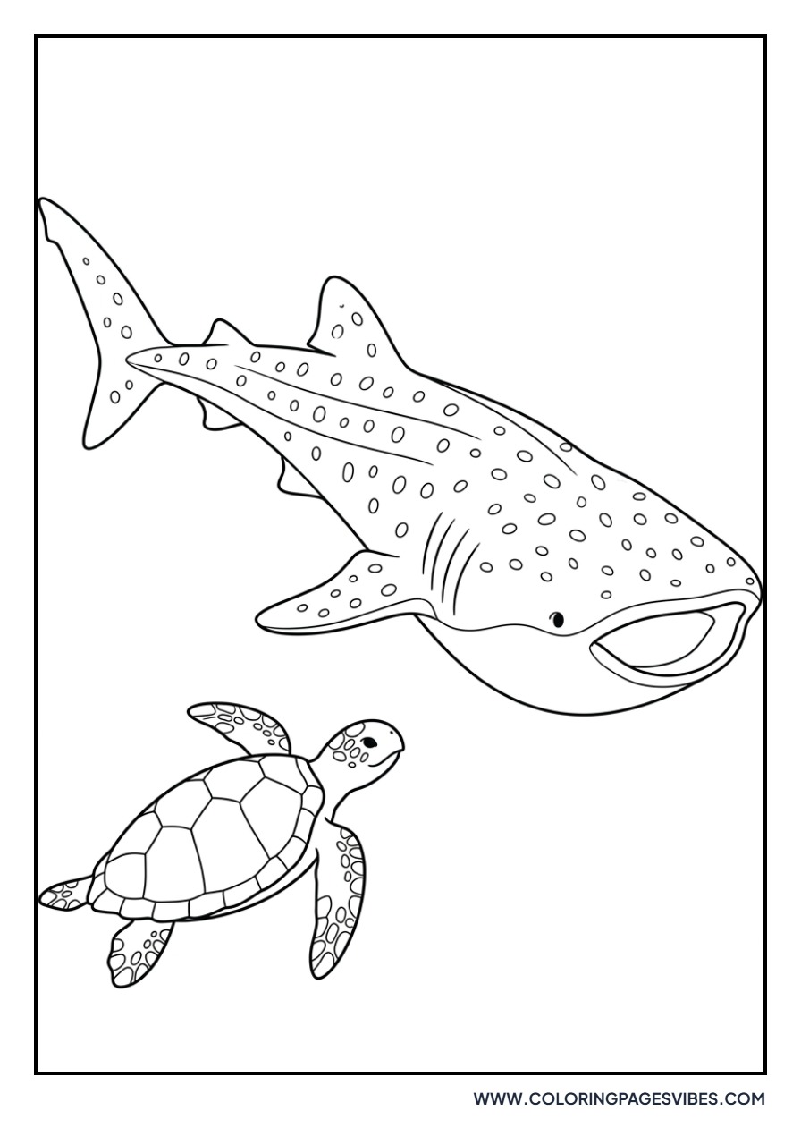 Turtle and Whale Shark
