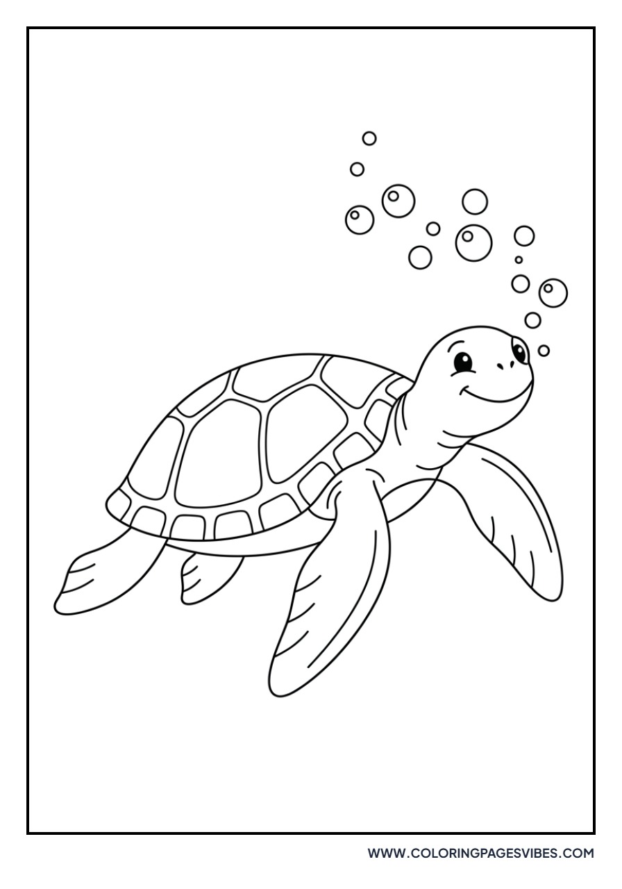 Turtle Blowing Bubbles