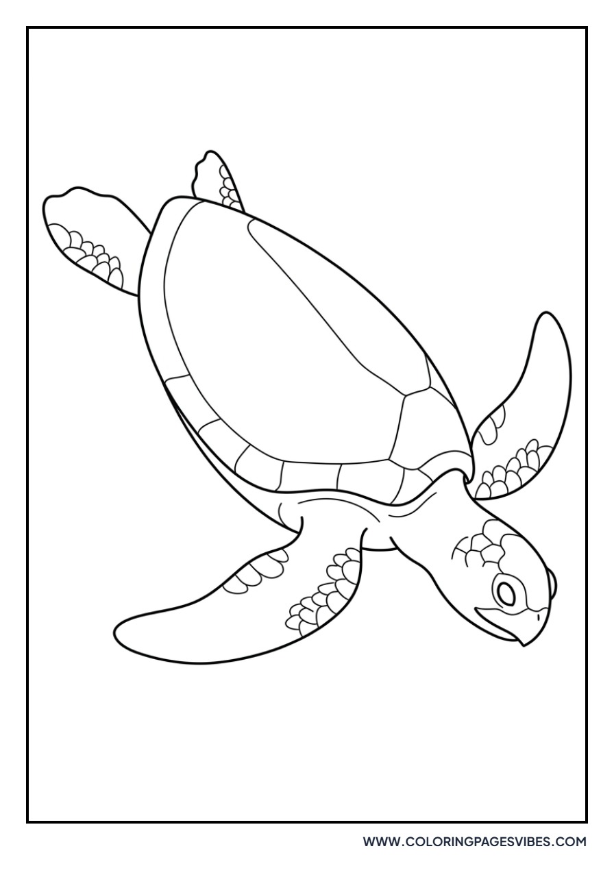 Turtle Diving Down