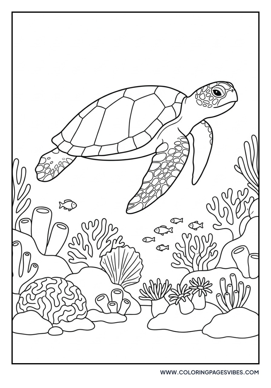 Turtle in Coral Reef