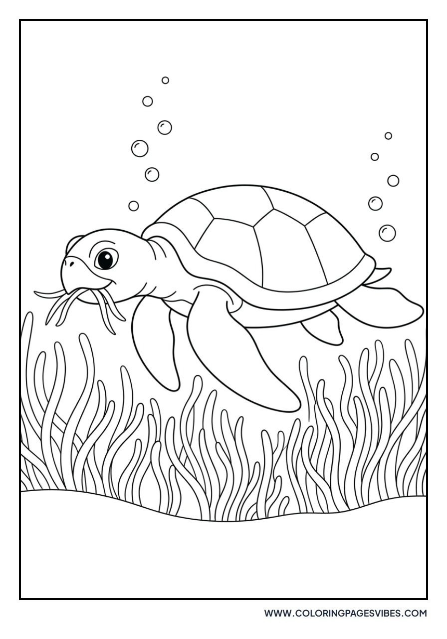 Turtle in Seagrass Meadow
