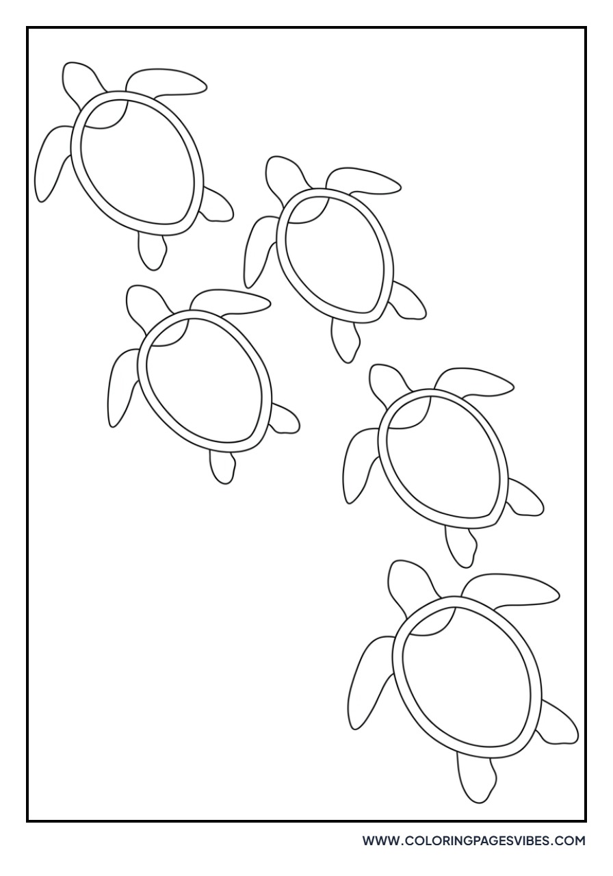 Turtle Migration Path