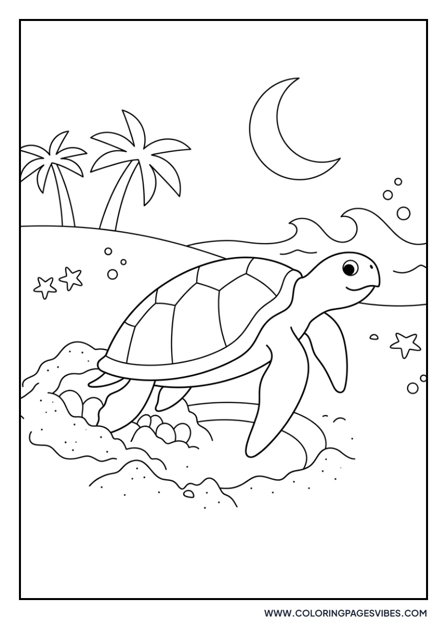 Turtle Nesting on Beach