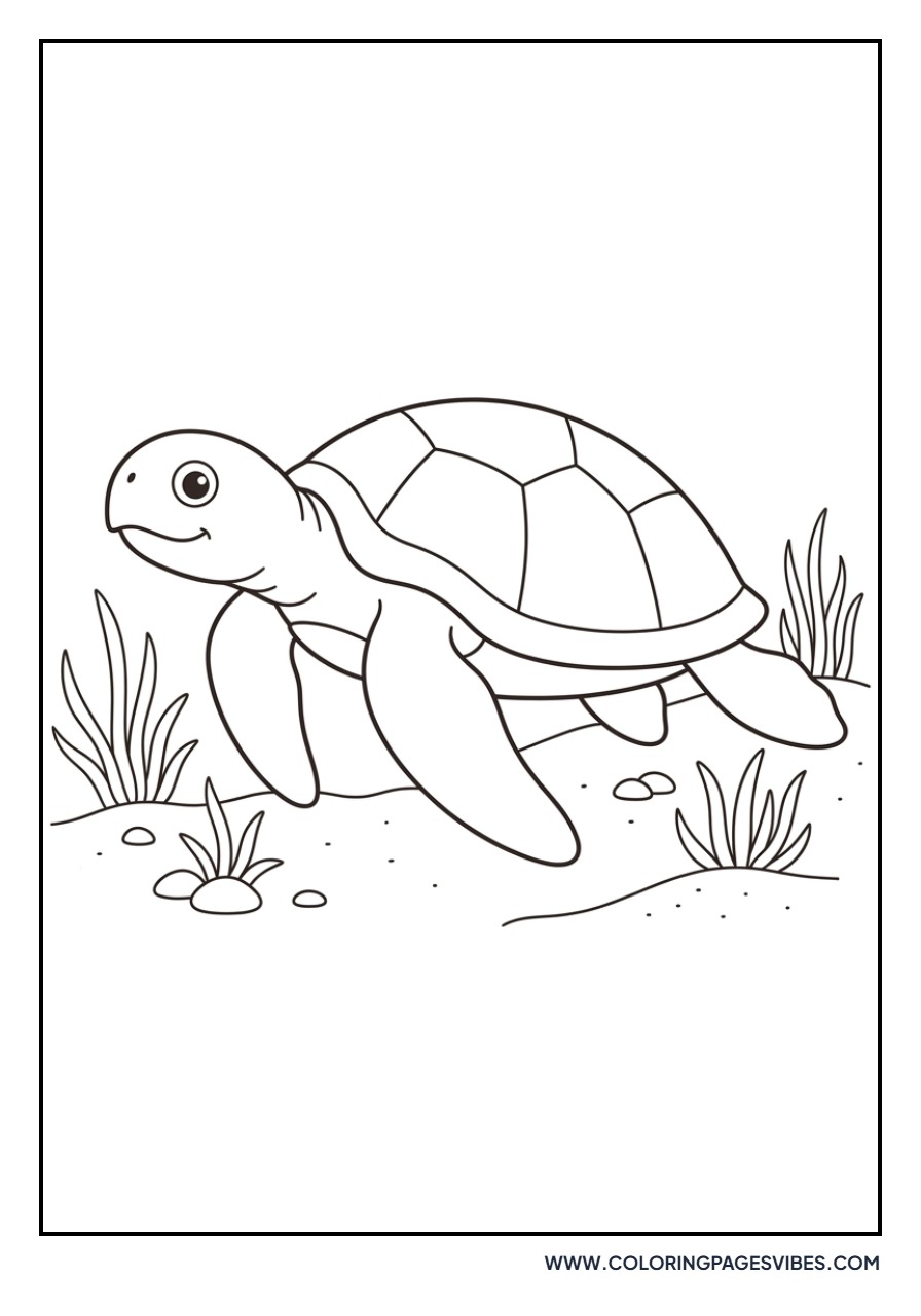 Turtle Resting on Seabed