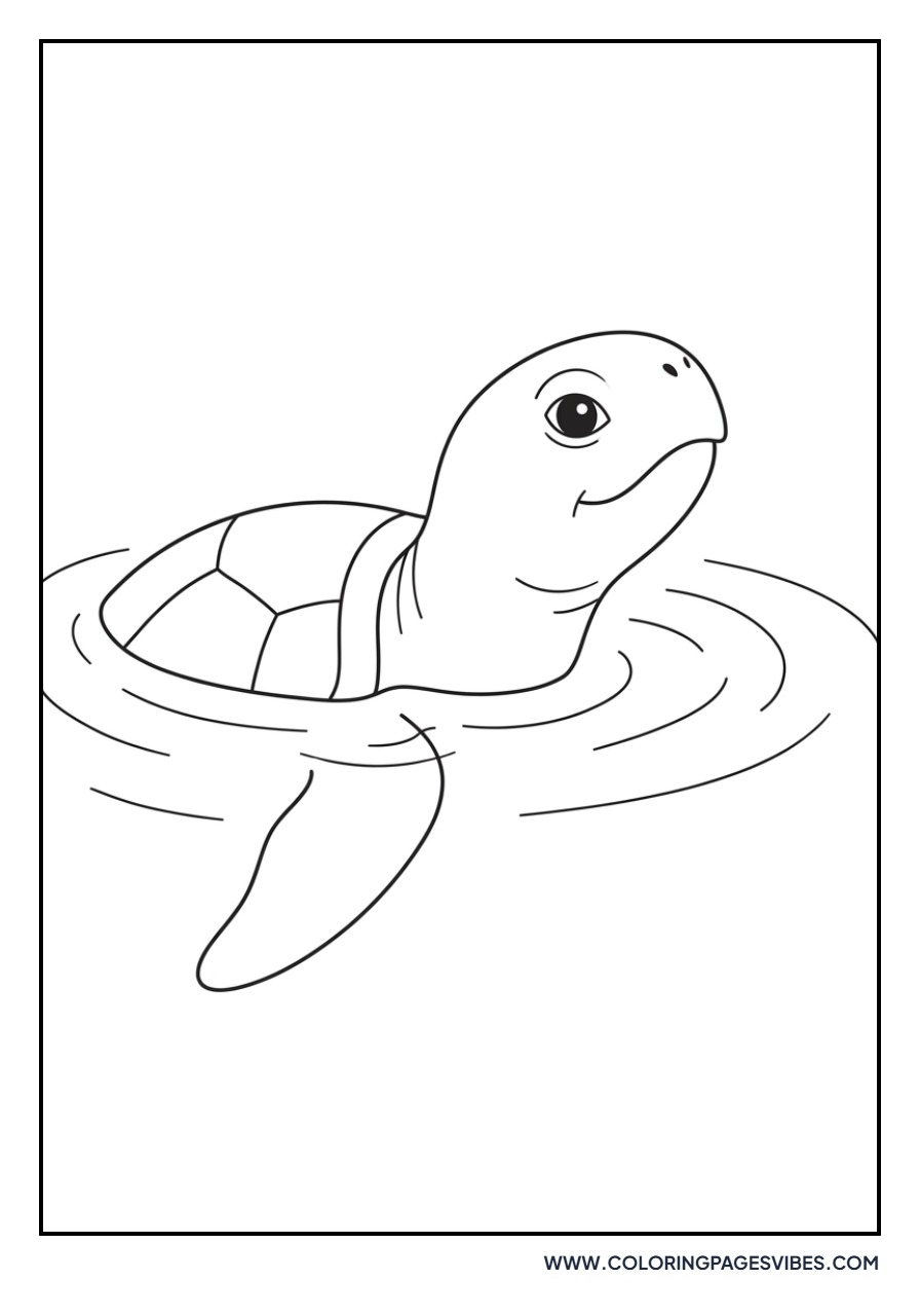 Turtle Surface Breathing