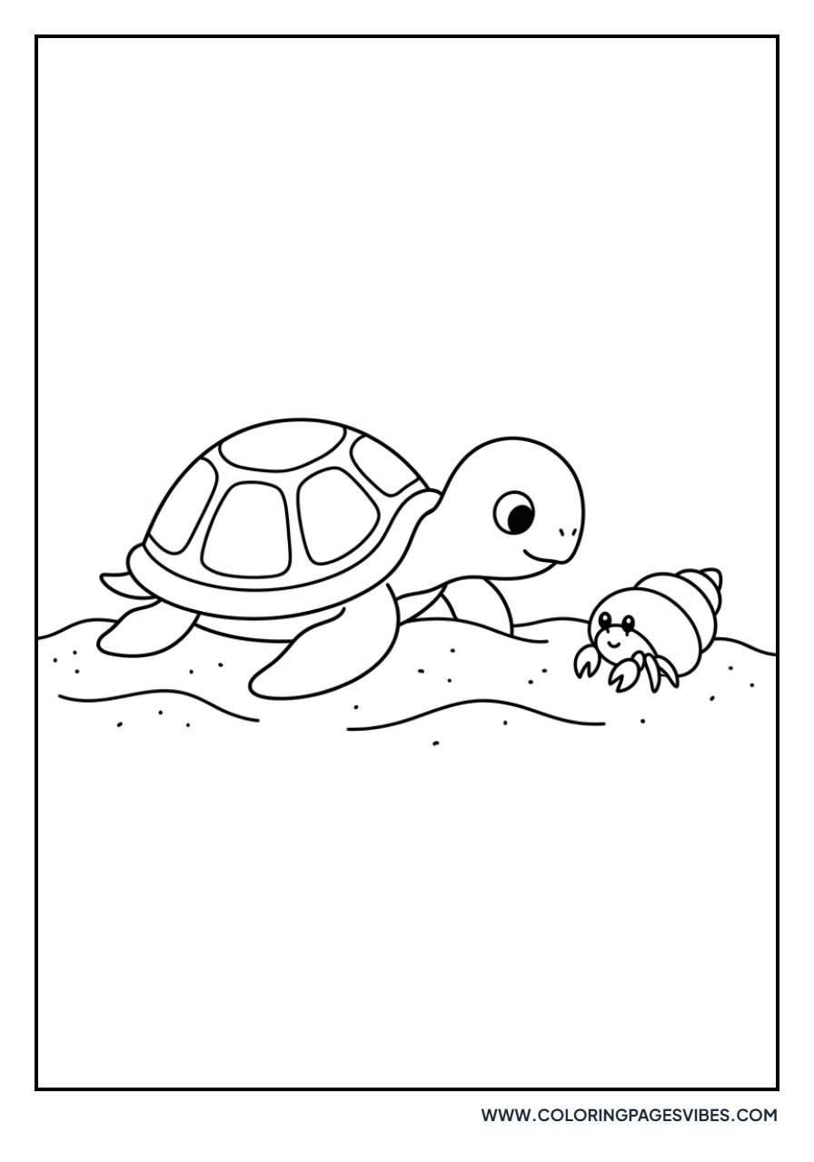 Turtle with Hermit Crab