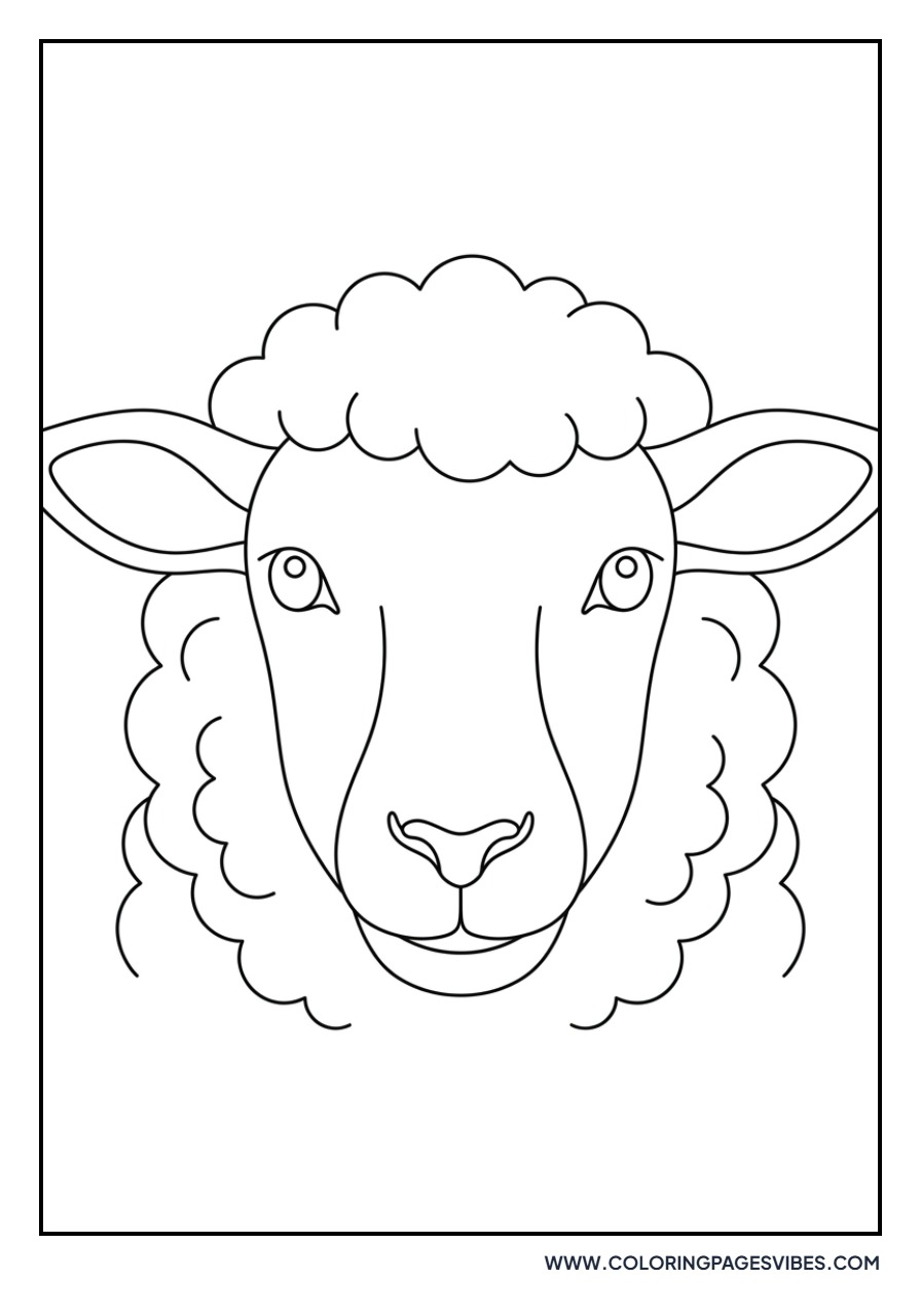 Curious Sheep Face