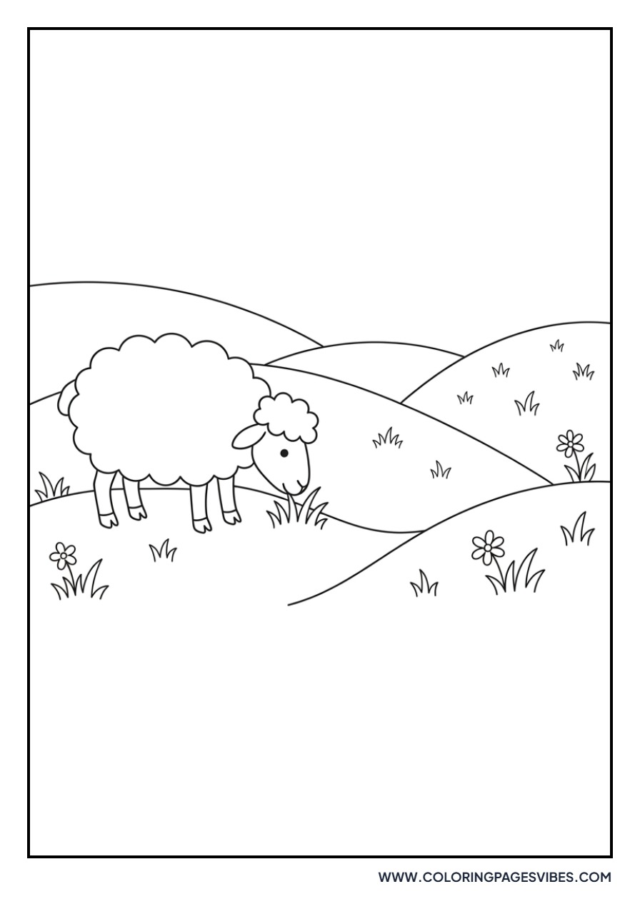 Grazing Sheep