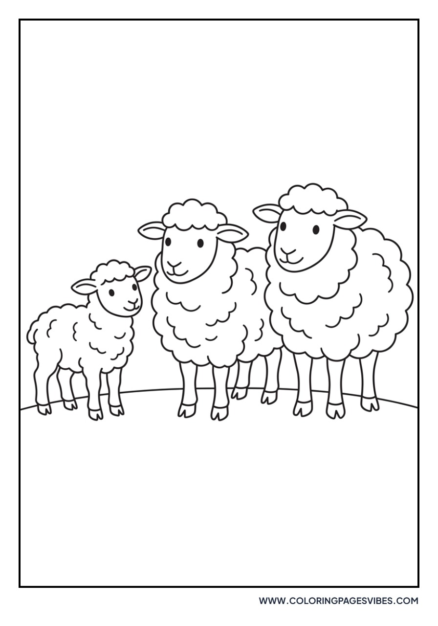 Group of Three Sheep