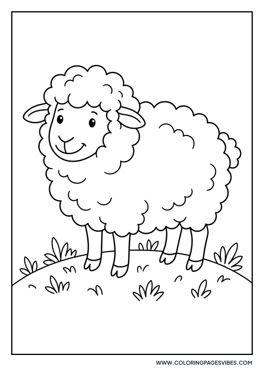 Happy Fluffy Sheep