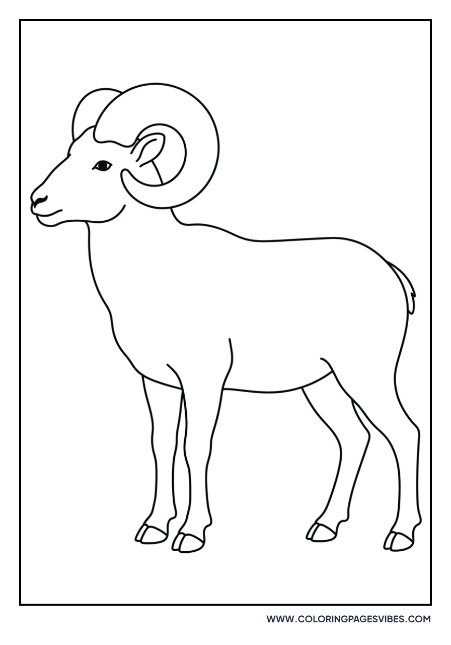 Majestic Ram