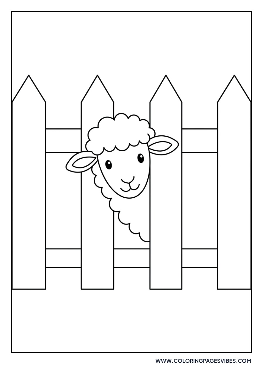 Sheep and Fence