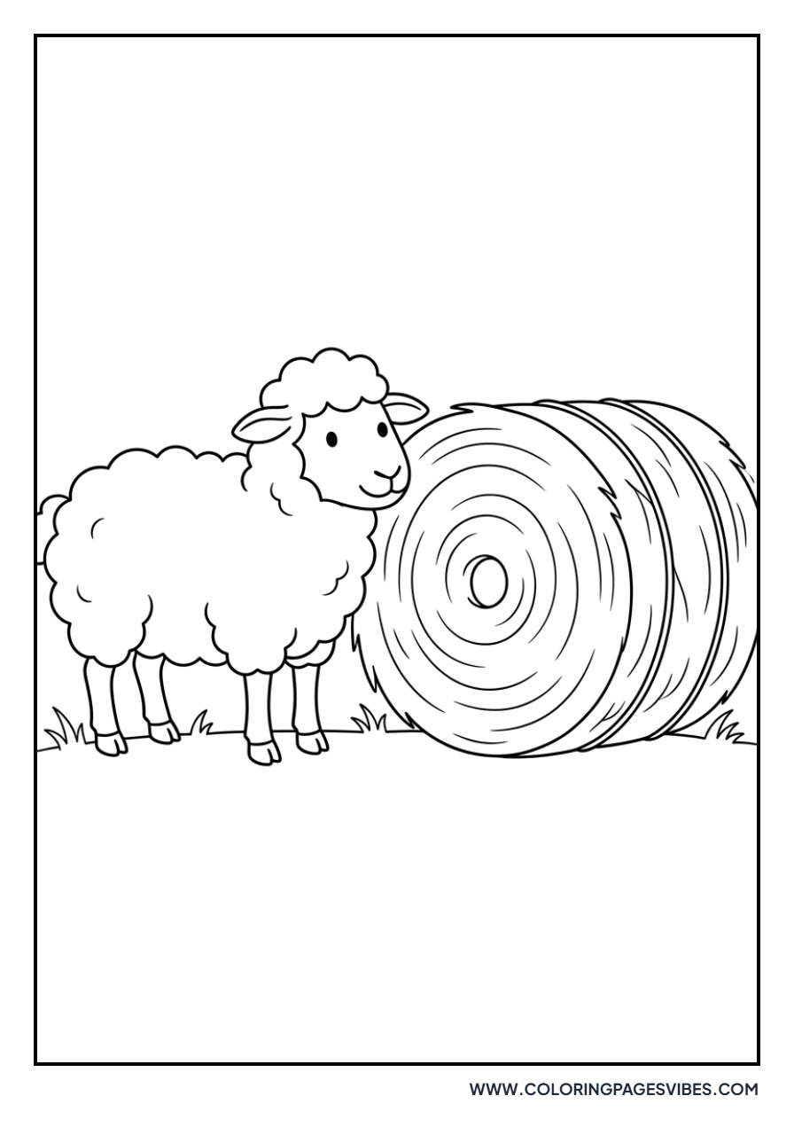 Sheep and Hay Bale