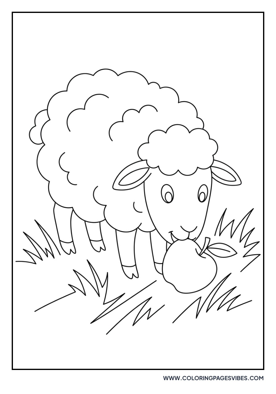 Sheep Eating an Apple