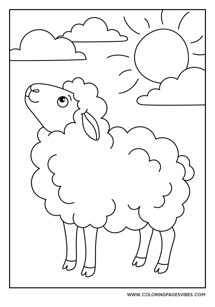 Sheep Looking Up