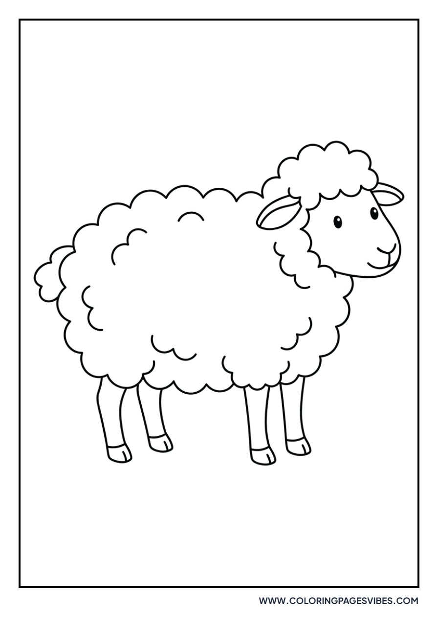 Sheep under Rainbow