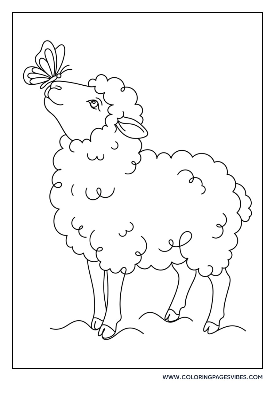 Sheep with a Butterfly