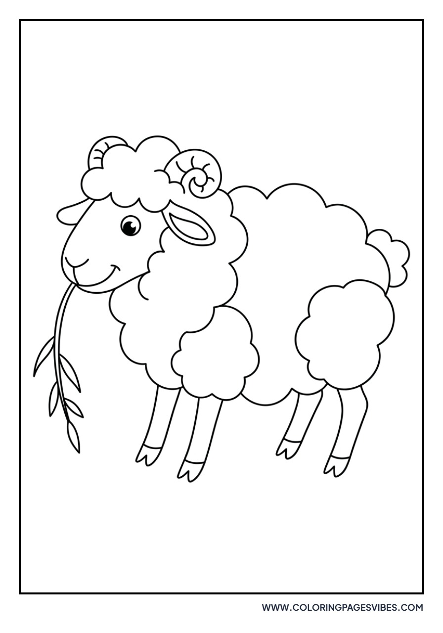 Sheep with Grass in Mouth
