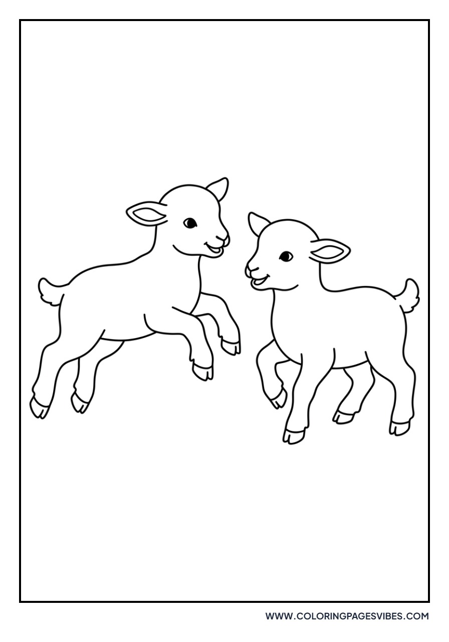Two Lambs Playing