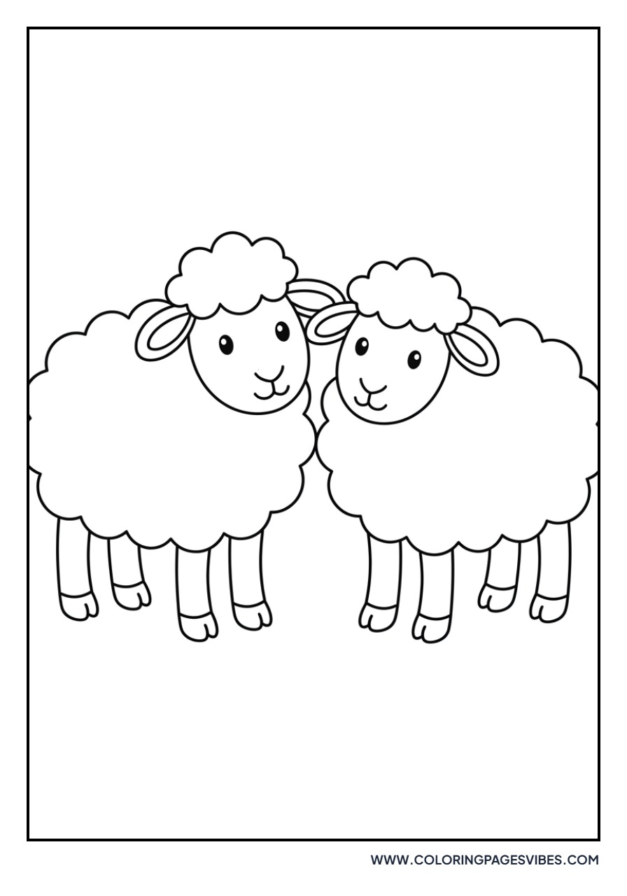 Two Sheep Friends