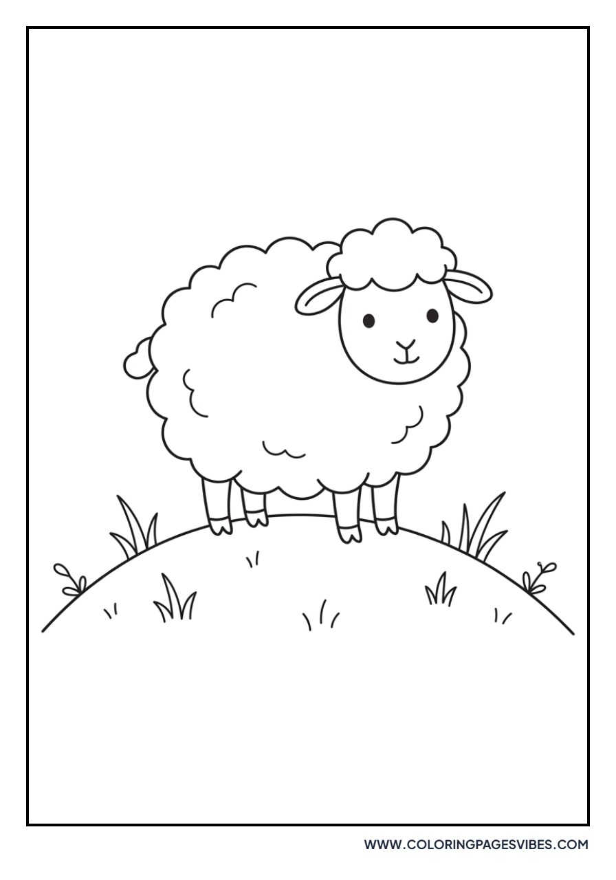 Woolly Sheep on a Hill