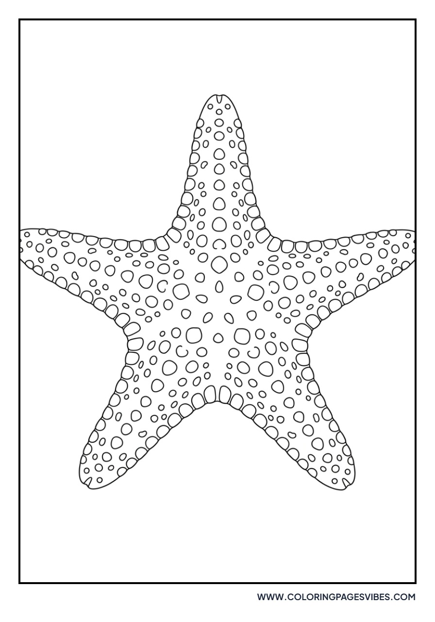 Detailed Texture Starfish
