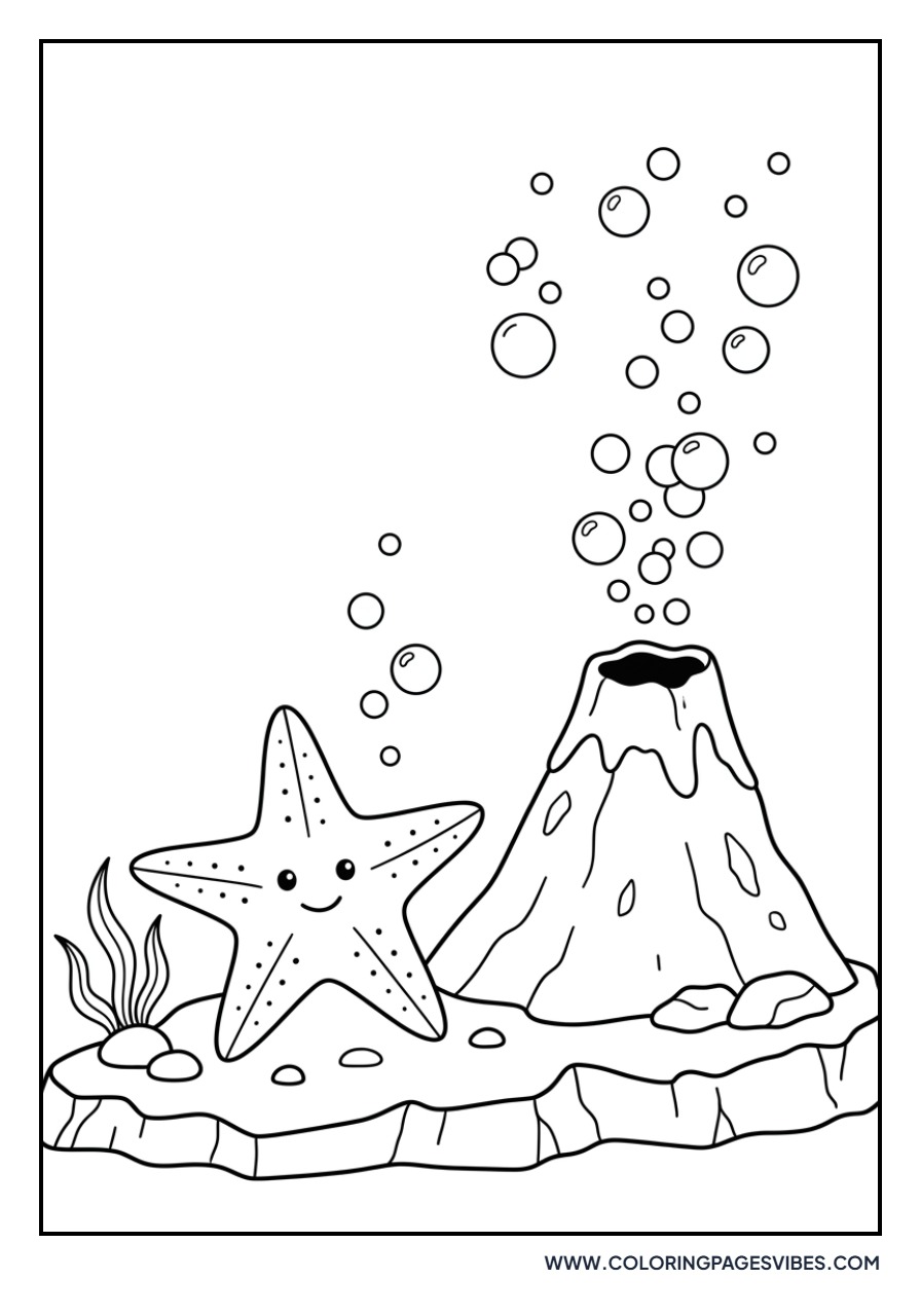 Starfish and Bubbling Volcano