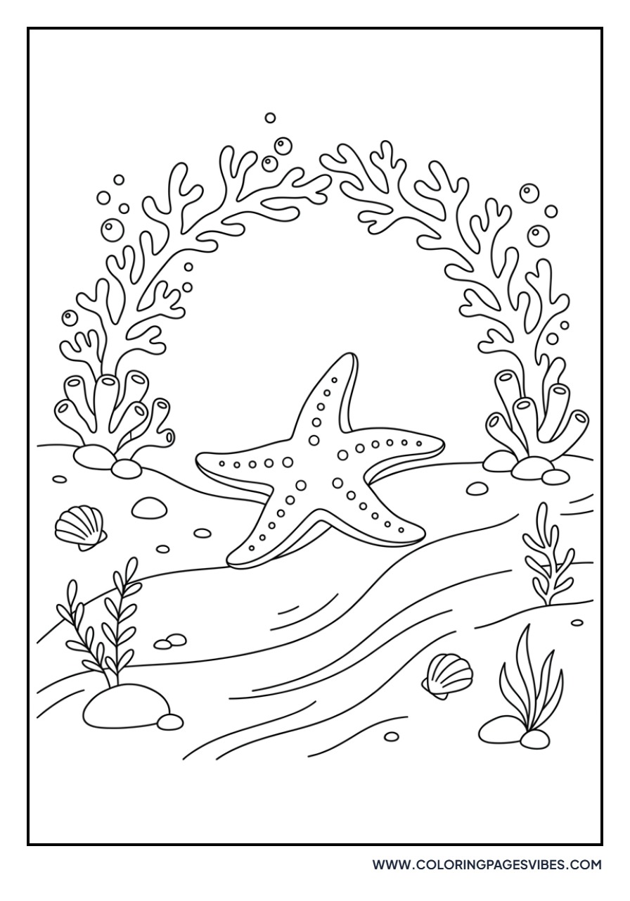 Starfish and Coral Arch