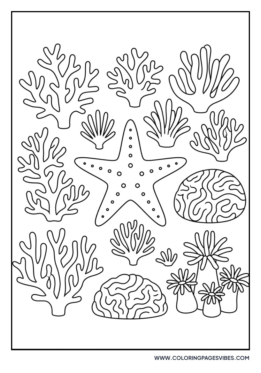 Starfish and Coral Reef