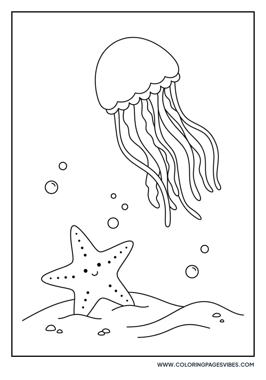 Starfish and Jellyfish