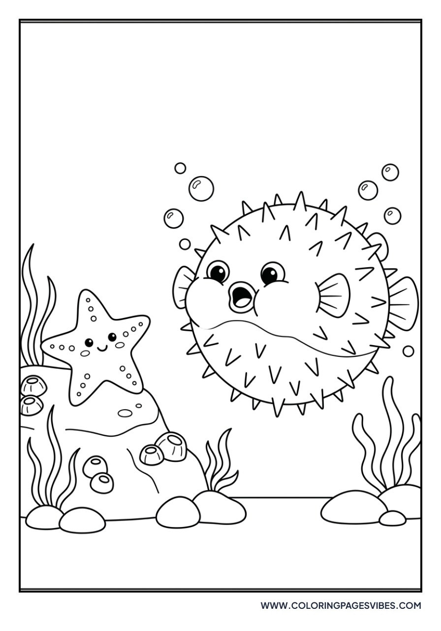 Starfish and Pufferfish