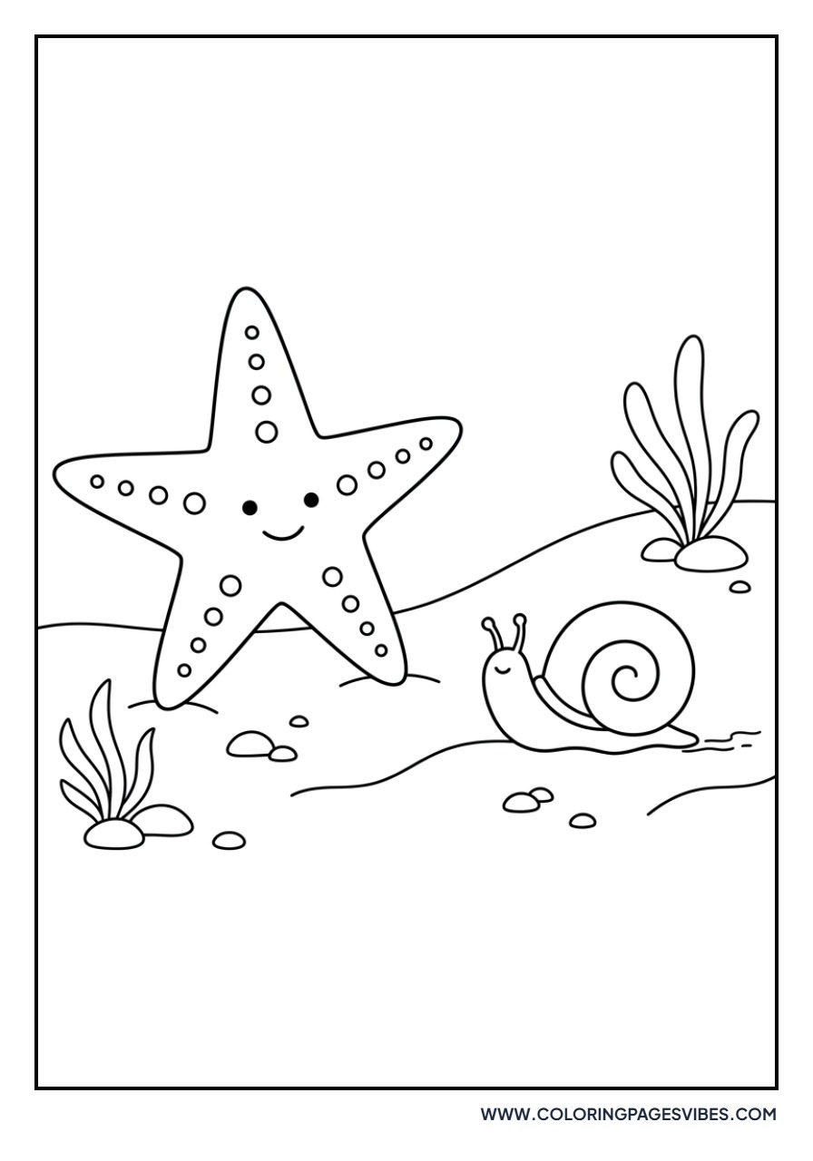 Starfish and Sea Snail