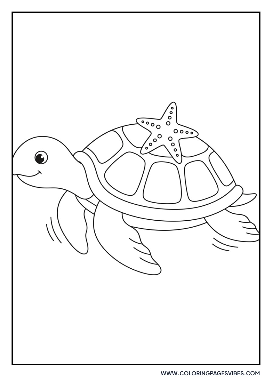 Starfish and Sea Turtle