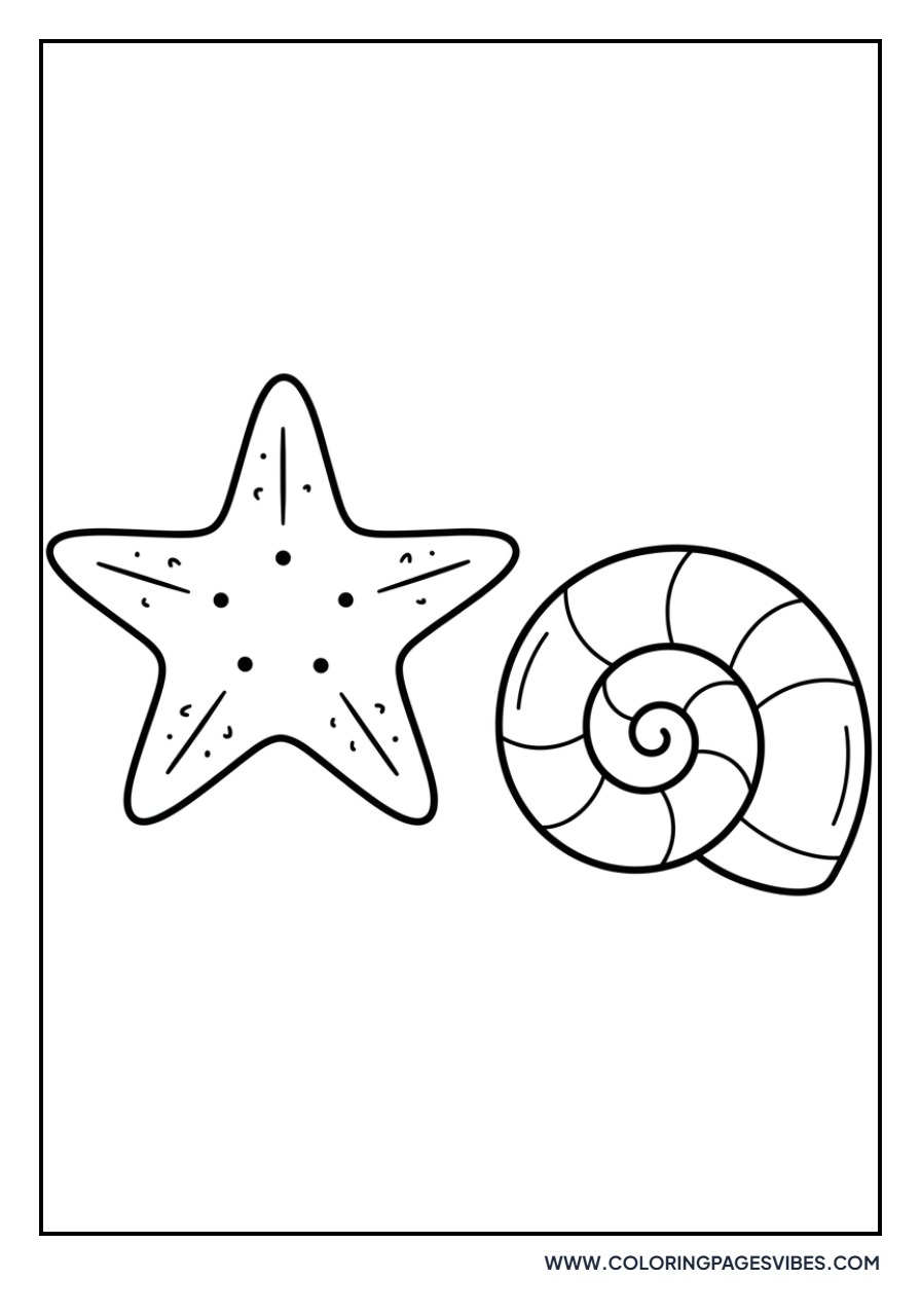 Starfish and Seashell