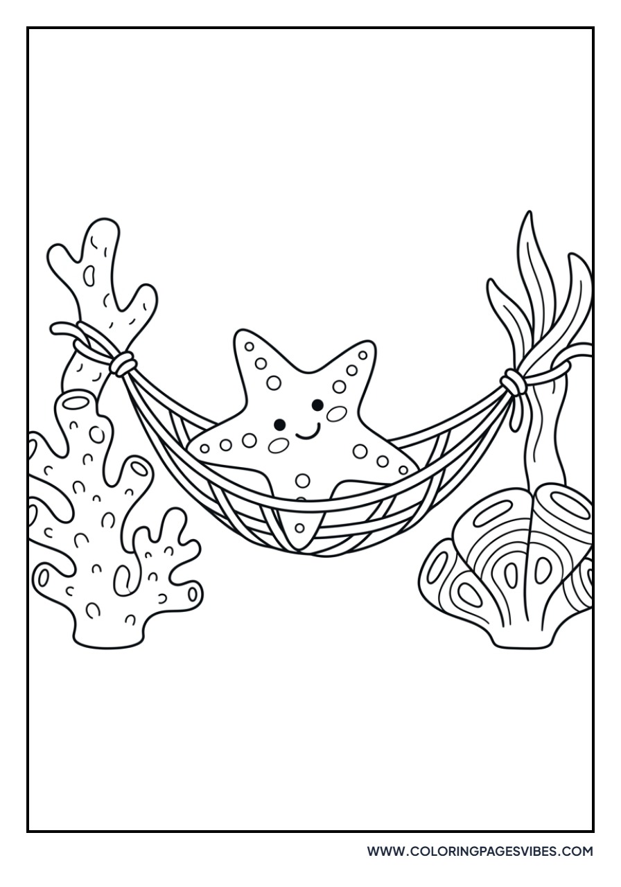 Starfish in a Hammock