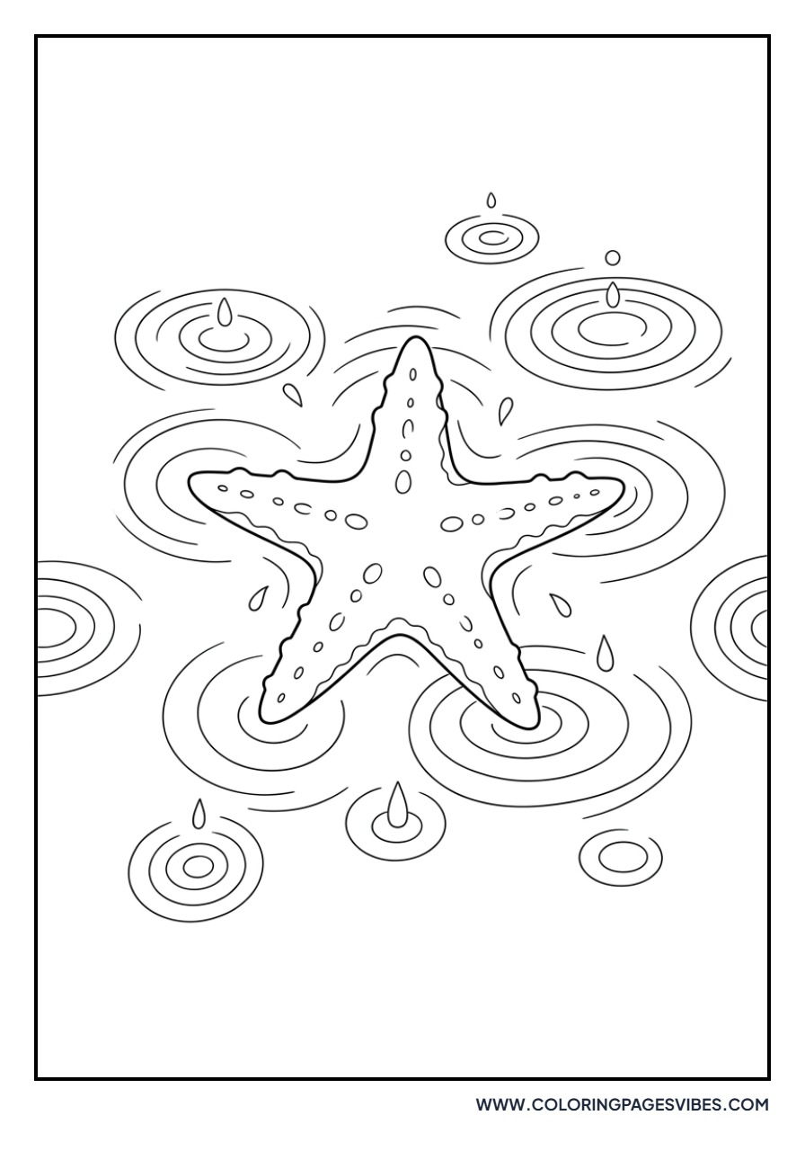 Starfish in the Rain