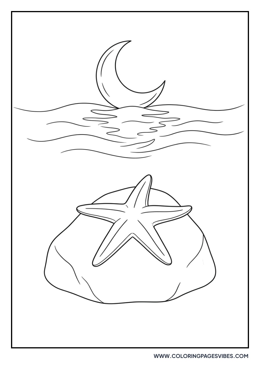 Starfish Under the Moonlight