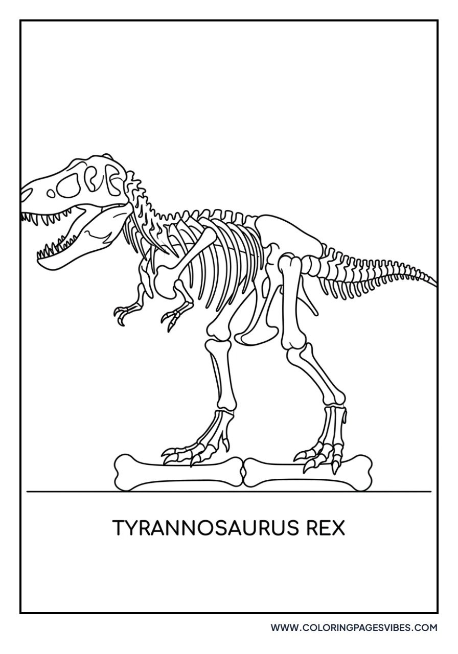 T-Rex Fossil Skeleton