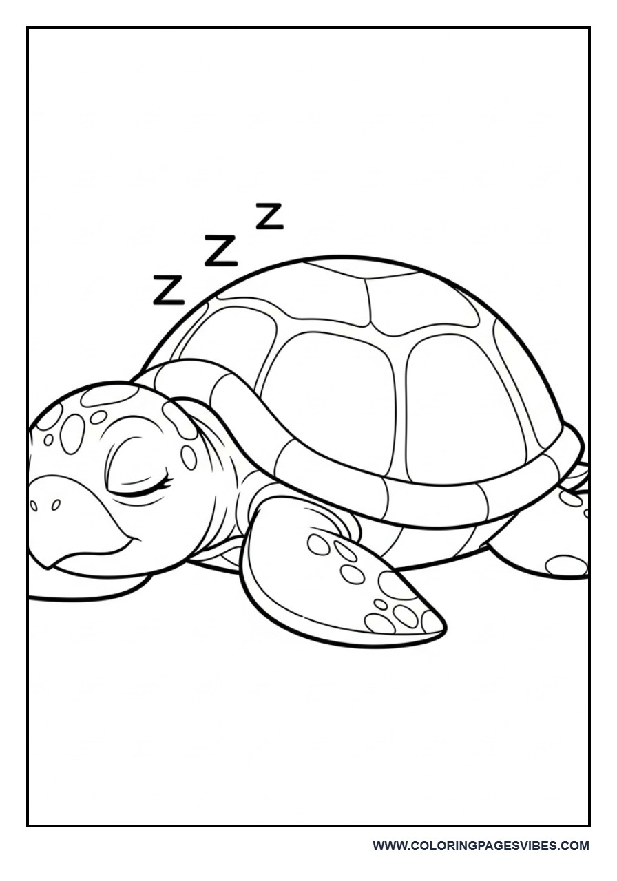 Sleeping Turtle